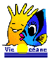 Vie océane